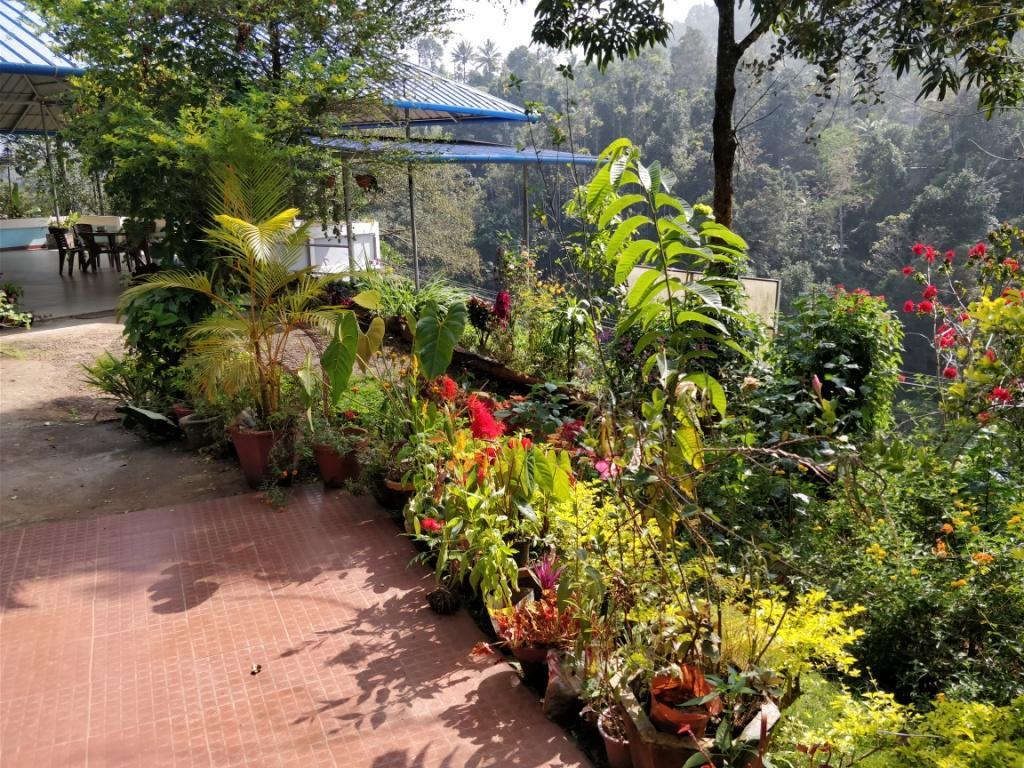 River View Inn Munnar Kültér fotó